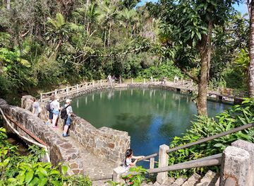 puerto-rico/yunque-national-forest/landmark/corredor-ecologico-del-noreste