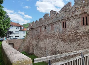 germany/heidelberg/handschuhsheim/landmark/handschuhsheim-tiefburg