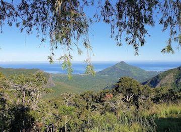 mauritius/black-river-gorges-national-park/landmark/macchabee-viewpoint