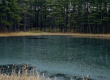 ohio/wayne-national-forest/landmark/sand-run-picnic-area