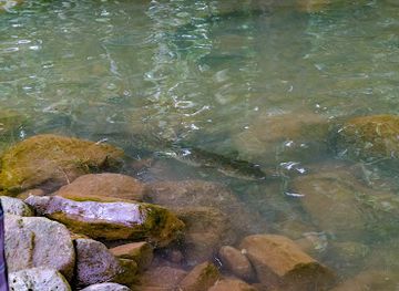 micronesia/kolonia/landmark/man-yu-chi