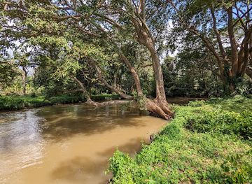 sri-lanka/horton-plains-national-park/landmark/angammedilla-national-park