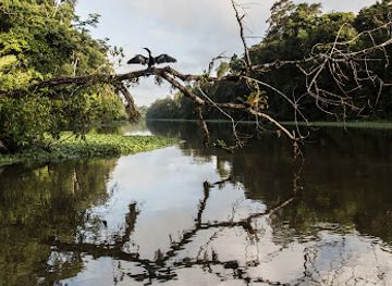 costa-rica/tortuguero-national-park/landmark/tortuguero-national-park-costa-rica