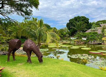 bolivia/chiquitania/landmark/la-rinconada-ecoparque-y-restaurante