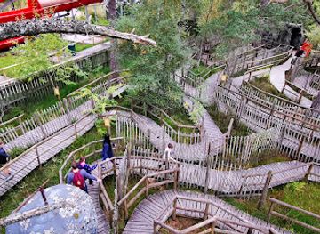 united-kingdom/kincardineshire/landmark/landmark-forest-adventure-park