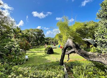 saint-kitts-and-nevis/newcastle/landmark/romney-manor