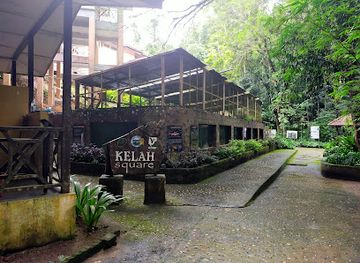 malaysia/taman-negara-national-park/landmark/jeti-taman-negara-kuala-tahan