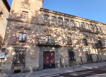 spain/salamanca/centro/landmark/palacio-de-orellana