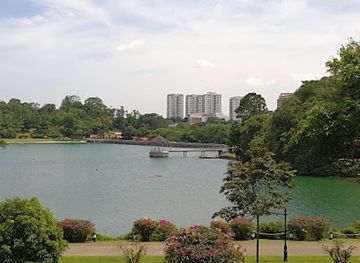 singapore/novena/landmark/macritchie-treetop-walk-trailhead