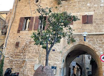 israel/jaffa/landmark/suspended-orange-tree