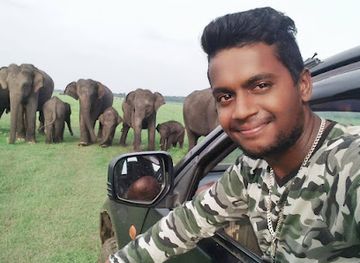 sri-lanka/wilpattu-national-park/landmark/wilpattu-asinka-safari