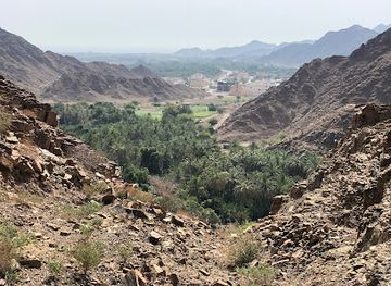 united-arab-emirates/dibba-al-fujairah/landmark/ziqt-historical-village