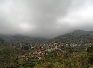 Mondessi Forest