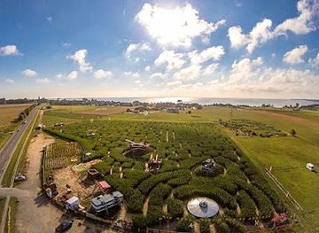 poland/hel-peninsula/landmark/corn-field-maze