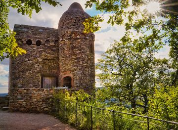 germany/palatinate/landmark/rossel-castle