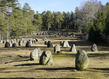 norway/ostfold/landmark/steinringfeltet