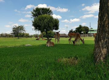 south-africa/battlefields/landmark/rooihuiskraal-historical-terrain