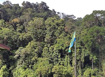 gabon/crystal-mountains-national-park/landmark/crystal-mountains-africa