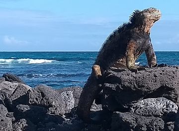 ecuador/galapagos-islands/landmark/galapagos-islands-ecuador-guide