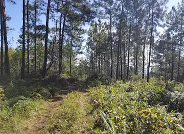 Bull Head Mountain