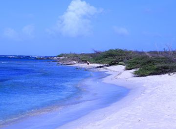 aruba/boca-catalina/landmark/etnia-nativa-the-navel-of-aruba
