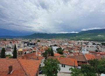 albania/patos/landmark/chinar-tree