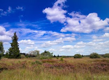 belgium/hautes-fagnes/landmark/cascade-du-bayehon