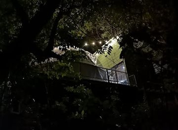 costa-rica/monteverde/landmark/monteverde-jungle-living-tree-houses