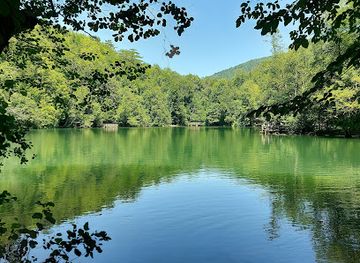 turkiye/black-sea-region/landmark/yedigoller-national-park
