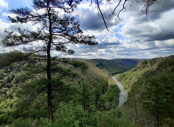 pennsylvania/northern-tier/landmark/colton-point-state-park