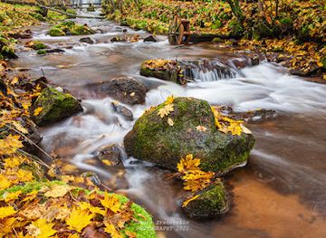 latvia/teici-nature-reserve/landmark/ieriku-mill