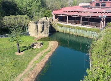 alabama/chattahoochee-river/landmark/montgomery-zoo-mann-wildlife-learning-museum