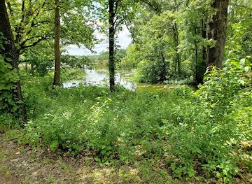 texas/piney-woods/landmark/caddo-national-grasslands