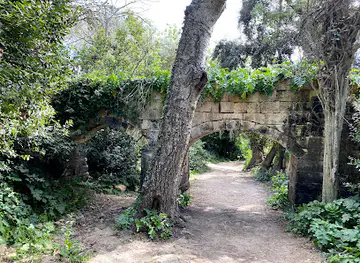Buskett Woodlands