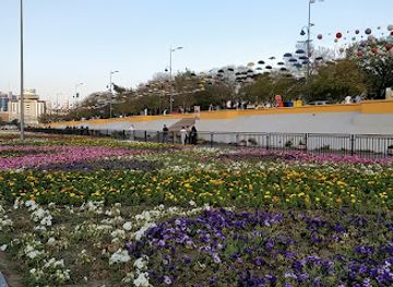 saudi-arabia/abha/landmark/abha-flower-show