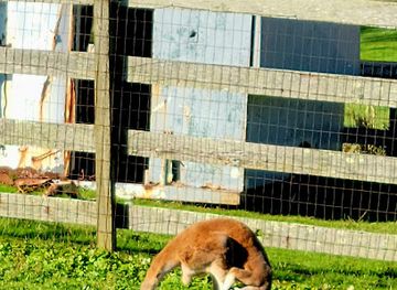rhode-island/block-island/landmark/1661-farm-and-gardens
