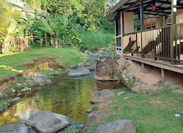puerto-rico/sierra-de-cayey/landmark/lechonera-el-rancho-original