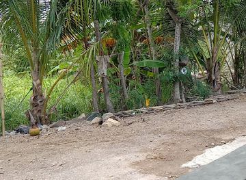 indonesia/west-nusa-tenggara/landmark/balin-sudianto-negara