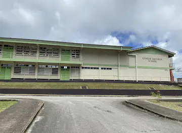 The Lester Vaughan School Storm