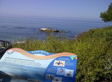 california/laguna-beach/landmark/bird-rock