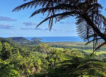 australia/far-north-queensland/landmark/daintree-rainforest