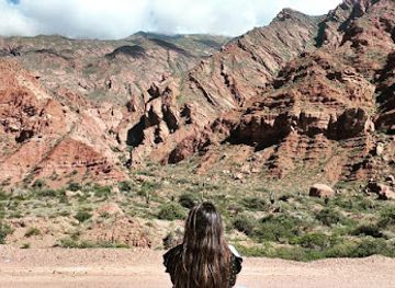 argentina/salta/landmark/mercado-municipal-san-miguel