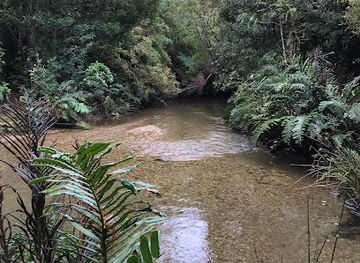 chile/los-rios-region/landmark/centro-ecoturismo-mallacan