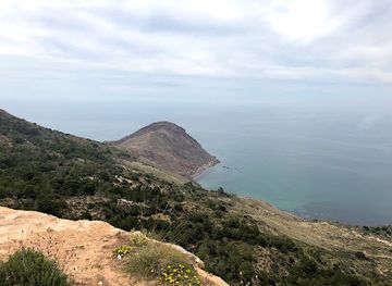algeria/oran/landmark/canastel-forest