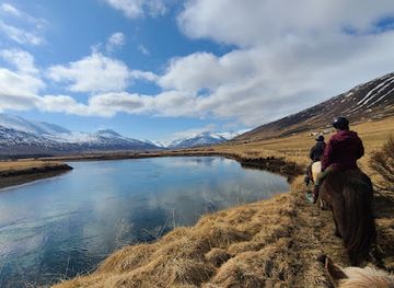 iceland/dalvik/landmark/tvistur-horse-rental
