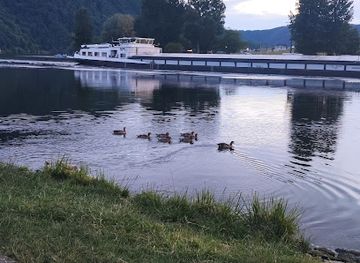 germany/moselle/landmark/banks-of-the-moselle-near-beilstein
