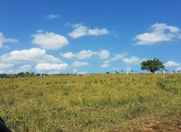 vanuatu/shefa-province/landmark/buggy-fun-vanuatu