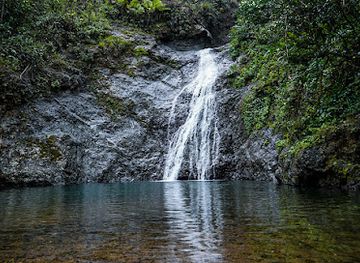 puerto-rico/yunque-national-forest/landmark/salto-curet