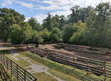 romania/dambovita/landmark/zimbraria-neagra