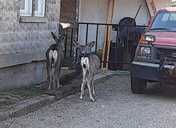 oregon/lake-county/landmark/lake-county-museum